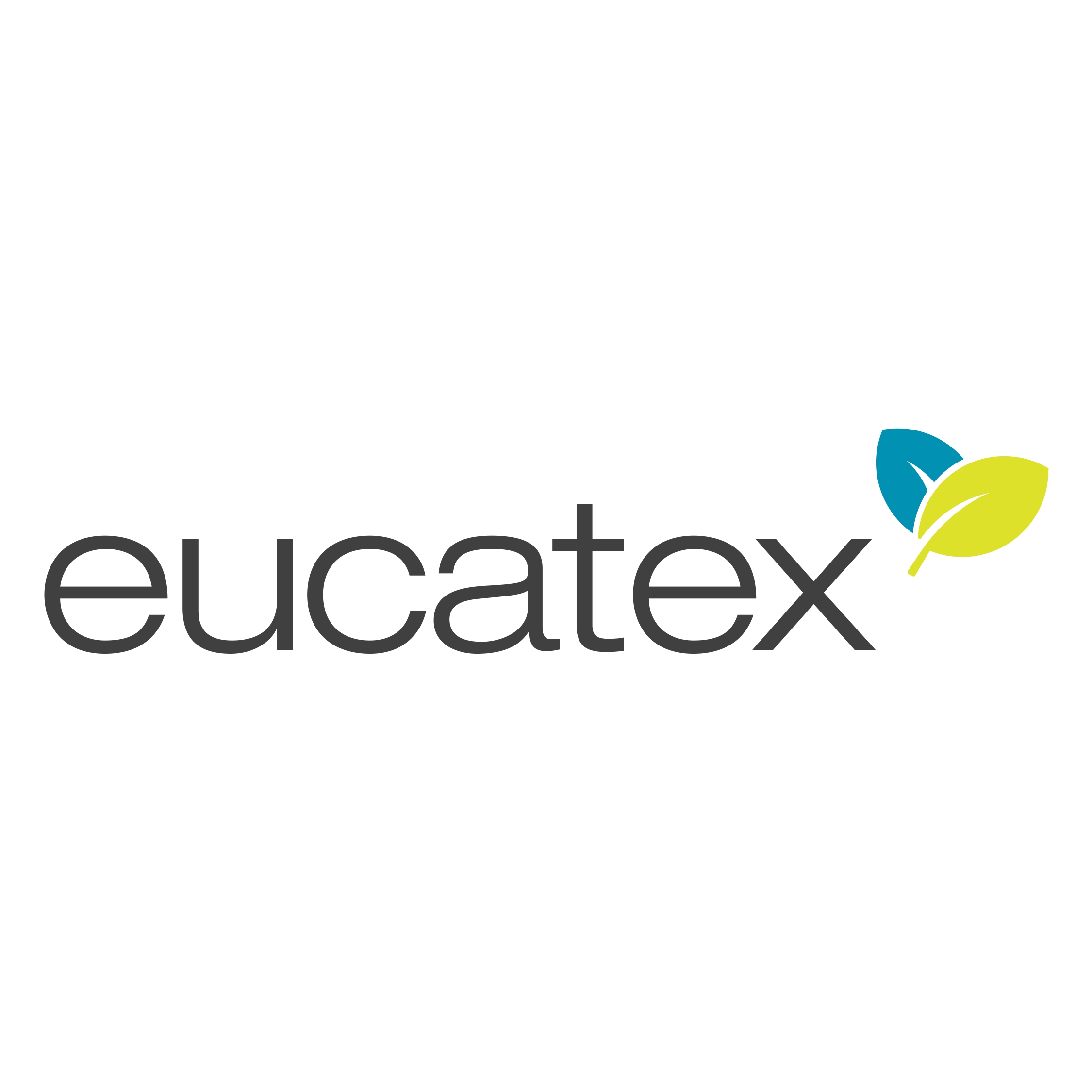 Logo_Eucatex_page-0001